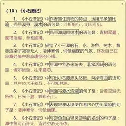 語文基礎(chǔ)知識(shí)不扎實(shí)要怎么做