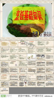 烹飪基礎知識課件