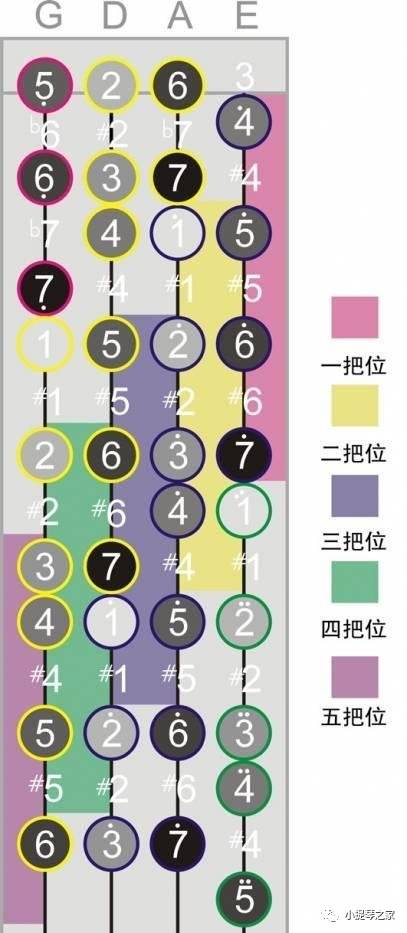 小提琴和五線譜入門基礎(chǔ)知識(shí)