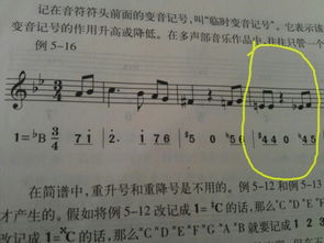 五線譜樂理基礎(chǔ)知識界