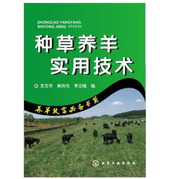 畜牧業(yè)生產(chǎn)管理的基礎知識