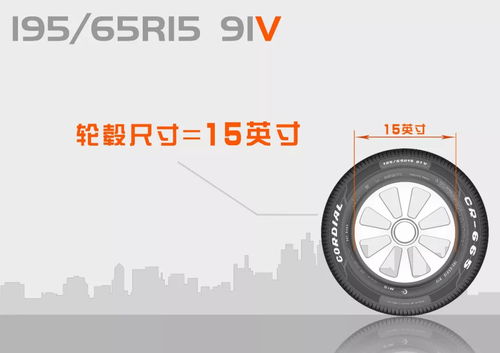 基礎(chǔ)知識(shí),輪胎