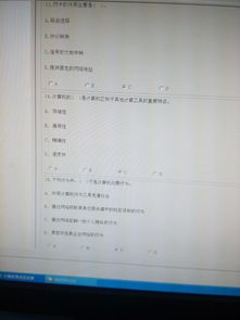 小學(xué)計(jì)算機(jī)基礎(chǔ)知識(shí)考試及答案