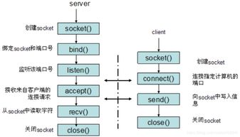 網(wǎng)絡(luò)基礎(chǔ)知識分類