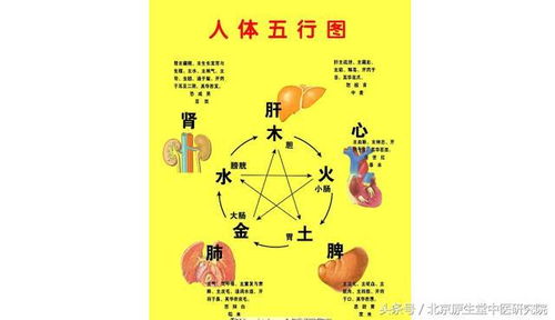 中醫(yī)藥基礎(chǔ)知識陰陽五行學說