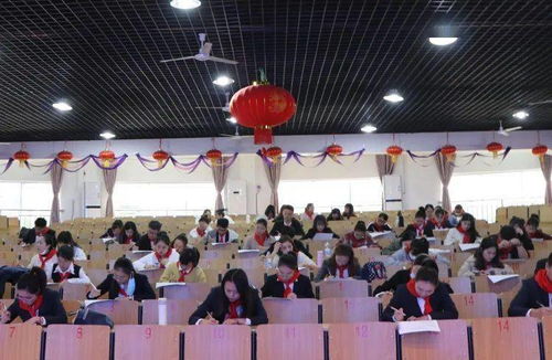 百度少先隊基礎專業(yè)知識