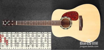 初學(xué)吉他零基礎(chǔ)知識(shí)