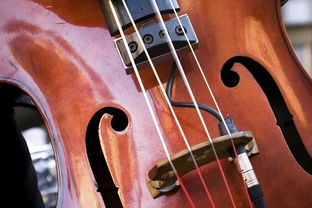 小提琴理論基礎(chǔ)知識