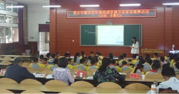 要有,扎實,基礎(chǔ)知識,教師