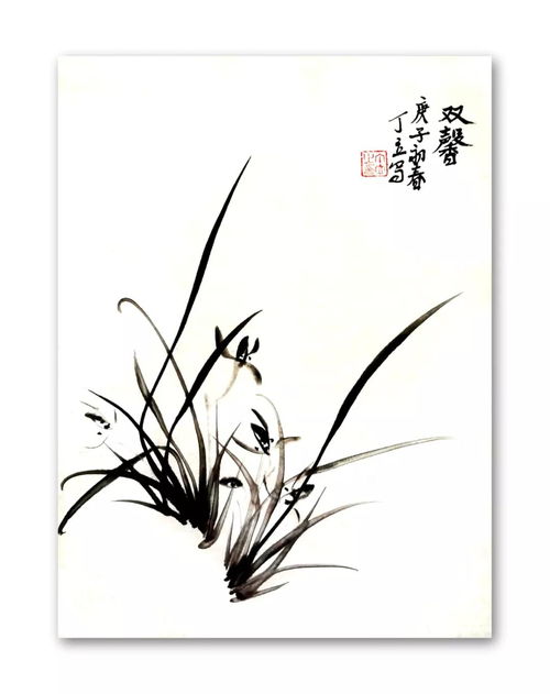 中國(guó)畫,蘭花,基礎(chǔ)知識(shí)