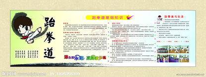 跆拳道,基礎(chǔ)知識,兒童