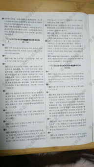 中考語文基礎(chǔ)知識與古詩文答案