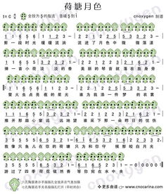 學(xué)陶笛的基礎(chǔ)知識(shí)