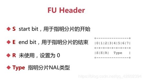 音頻基礎(chǔ)知識(shí)培訓(xùn)
