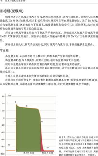 心內(nèi)電生理基礎(chǔ)知識(shí)