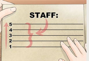 音樂基礎(chǔ)知識五線譜符號