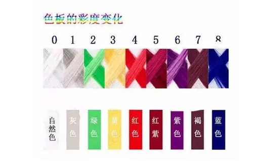 染發(fā)調(diào)色基礎(chǔ)知識