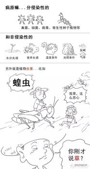 農(nóng)藥基礎(chǔ)知識(shí)管理