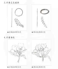 手繪,基礎(chǔ)知識,入門,cad