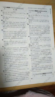 基礎(chǔ)知識(shí),語文,答案