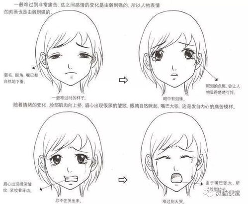 面部畫法基礎(chǔ)知識