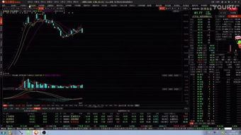 股票的基礎(chǔ)知識(shí)教程