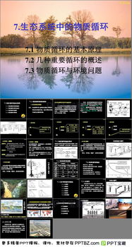 生態(tài)學(xué),整理,基礎(chǔ),知識(shí)