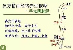 中醫(yī)最基礎(chǔ)知識入門,中醫(yī)最基礎(chǔ)知識重點,中醫(yī)最基礎(chǔ)知識二味中藥相使