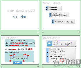 基礎知識,函數(shù),課件