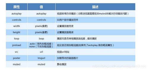 html基本基礎(chǔ)知識(shí)