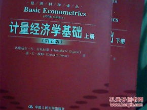 計量經(jīng)濟學(xué)基礎(chǔ)知識要點