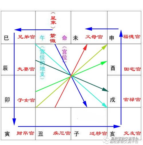 紫微斗數(shù)的一些基礎(chǔ)知識