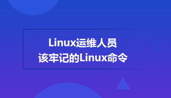 基礎(chǔ)知識(shí),linux