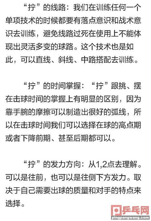 乒乓球基礎知識試卷