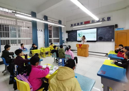 宜賓,基礎知識,教育