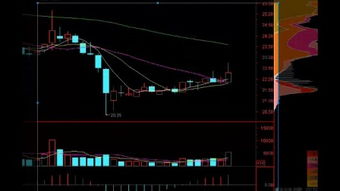 k線圖基礎(chǔ)知識股票
