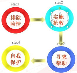 安全急救基礎(chǔ)知識培訓(xùn)