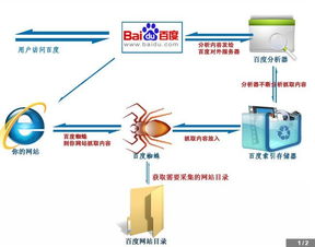 基礎(chǔ)知識,普及,軟件