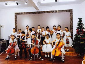 線譜,小提琴,基礎(chǔ)知識(shí),入門