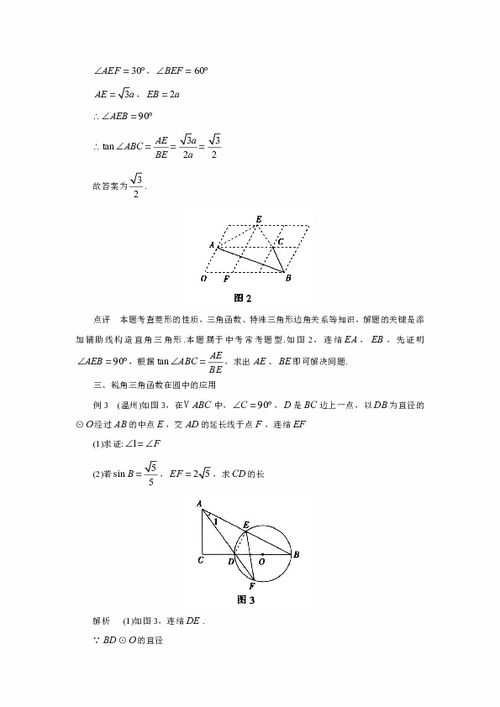 銳角,知識(shí)點(diǎn),函數(shù),初中