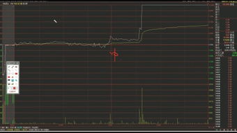 基礎(chǔ)知識,入門,股票