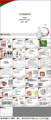 內衣的基礎知識ppt
