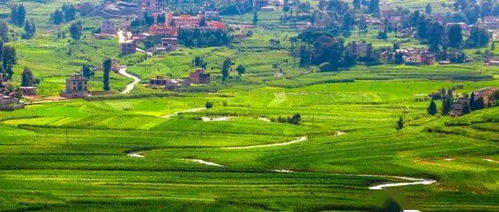 新疆阿勒泰綜合基礎(chǔ)知識(shí)