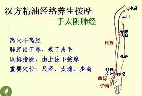 中醫(yī)基礎(chǔ)知識(shí)讀后感