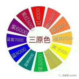 燙染的基礎(chǔ)理論知識(shí)