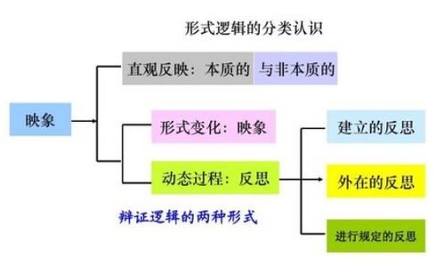 邏輯學(xué)基礎(chǔ)知識與實際工作的關(guān)系