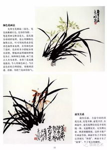 中國(guó)畫基礎(chǔ)知識(shí)教案,中國(guó)畫基礎(chǔ)知識(shí)及技能,中國(guó)畫基礎(chǔ)知識(shí)ppt