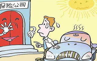 2019車險基礎(chǔ)知識整理