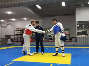 跆拳道考級基礎知識