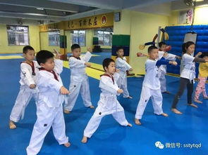 跆拳道考試基礎(chǔ)知識